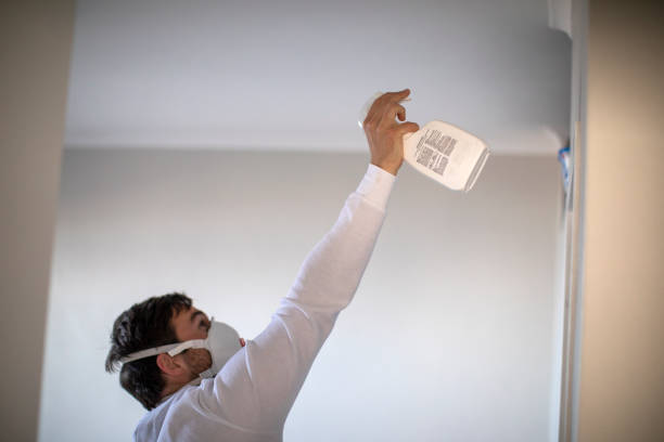 Best Mold Removal Company Near Me  in Red Oak, NC