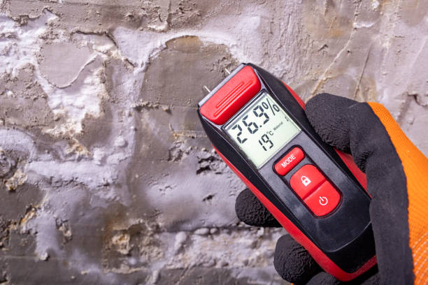 Best Mold Testing  in Red Oak, NC