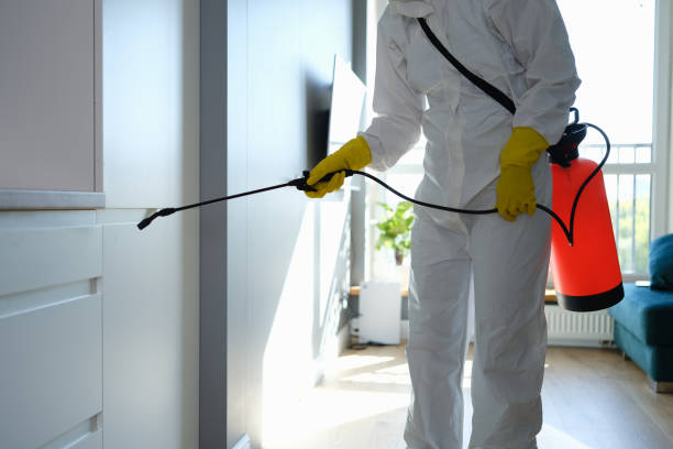 Best Mold Cleaning Services  in Red Oak, NC
