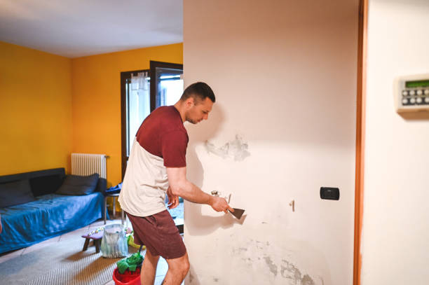 Best Affordable Mold Removal  in Red Oak, NC