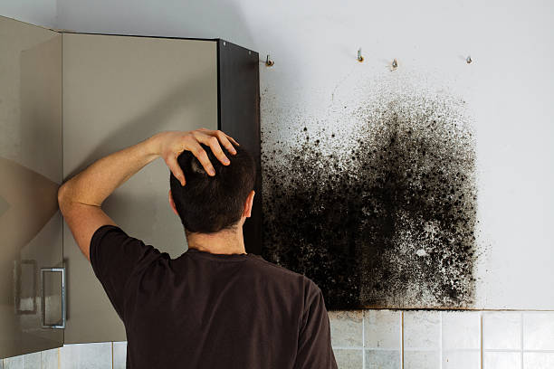 Mold Removal Process in Red Oak, NC